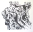 Trunk M